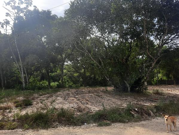 Terreno - Venda, LOTEAMENTO CAMPOS VE, IGUABA GRANDE, RJ