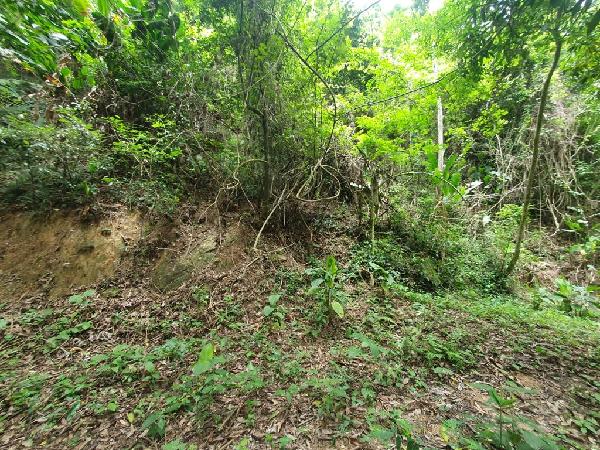 Terreno - Venda, PIRATININGA, NITEROI, RJ