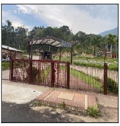 Terreno - Venda, COLONIA ALPINA, TERESOPOLIS, RJ