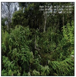 Terreno - Venda, DEBOSSAN, NOVA FRIBURGO, RJ